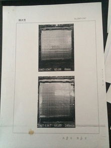 守护城市安全防线 上海防火卷帘门及其核心动力——卷帘门电机的全面解析